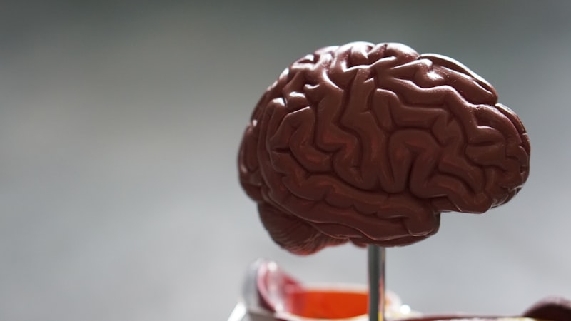 Brain scan imaging for TBI diagnosis